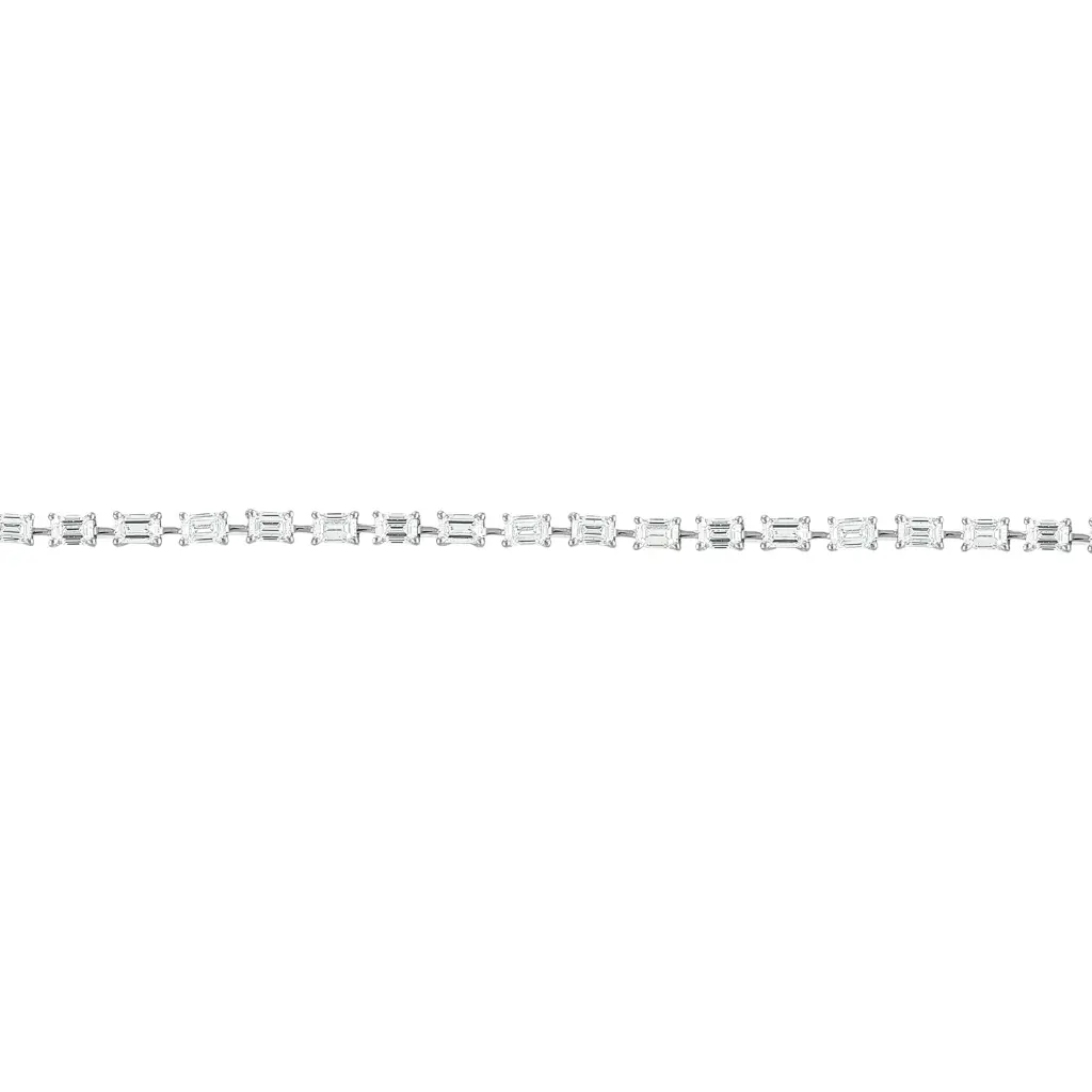 NCBW01528-2.webp