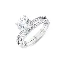 TVW2600034-1.webp