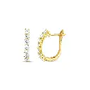 NCEY00960.webp