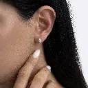 NCEW02374-3.webp