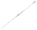 NCBW01647 (1).webp