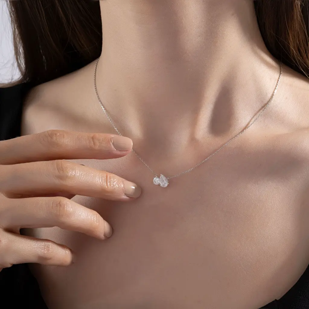 NCNW02422-2.webp