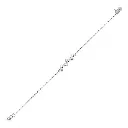 NCBW01658.webp