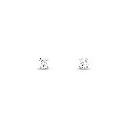 NCEW01299.webp