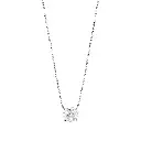 NCNW01695-2.webp