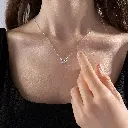 NCNW02439-2.webp